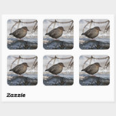 Brave American Dipper Vierkante Sticker (Vel)