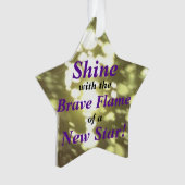 Brave Star Ornament (devant)