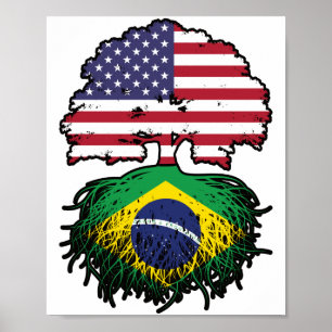 Braziliaanse Braziliaanse Amerikaanse vlag Poster