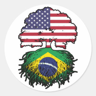 Braziliaanse Braziliaanse Amerikaanse vlag Ronde Sticker