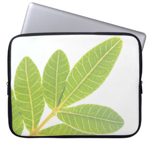 Braziliaanse Holly Plant Leaf Pattern Laptop Sleev Sleeve