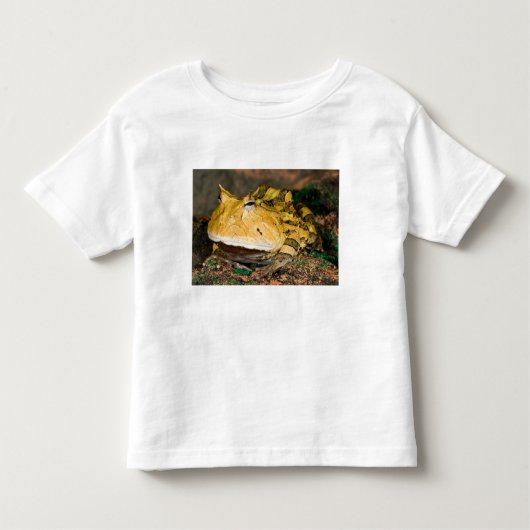 Braziliaanse Horn Frog, Ceratophrys cornuta, 3 Kinder Shirts (Voorkant)