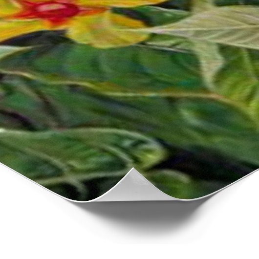 Braziliaanse Klimstruik en Kolibries Poster (Hoek)