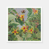 Braziliaanse Klimstruik en Kolibries Servet (Voorkant)