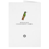 Braziliaanse Ruby Hummingbird (Achterkant)