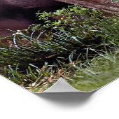 Braziliaanse Tapir (Tapirus terrestris) Poster (Hoek)