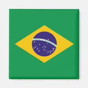 Braziliaanse vlag magneet