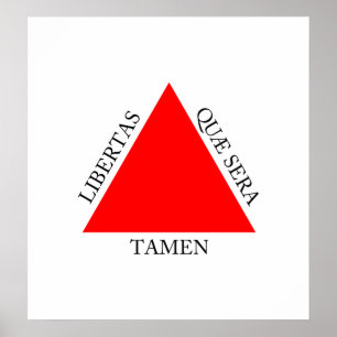 Braziliaanse vlag van hoge kwaliteit Minas Gerais Poster