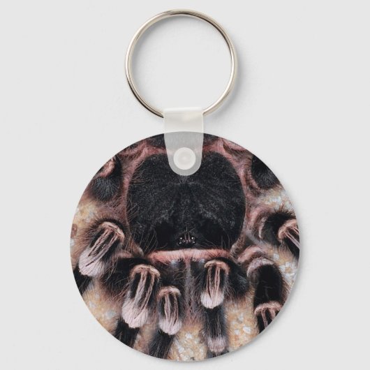 Braziliaanse witte knie Tarantula Sleutelhanger (Voorkant)