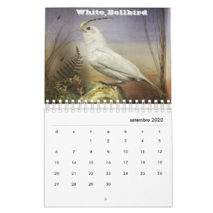 Brazilië Kalender