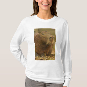 Brazilië, Pantanal, Matto Grosso. Capibara T-shirt
