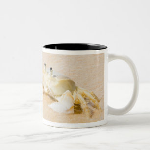 Brazilië, Rio de Janeiro, Buzios, Crab op Tweekleurige Koffiemok