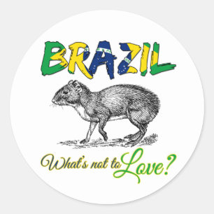Brazilië - Wat is er niet om van Brasil te houden? Ronde Sticker