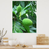 Breadfruit Poster (Keuken)