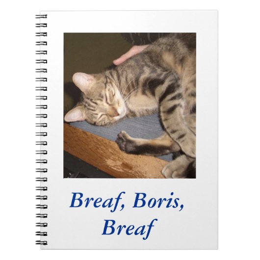 Breaf, Boris, carnet de Breaf (Devant)