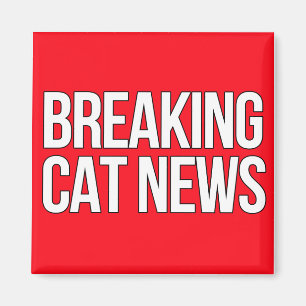 Break Cat News magnet Magneet