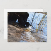 Breakers, Beachlife Briefkaart (Voorkant / Achterkant)