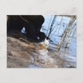 Breakers, Beachlife Briefkaart (Voorkant)