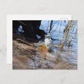 Breakers, Beachlife Briefkaart (Voorkant / Achterkant)