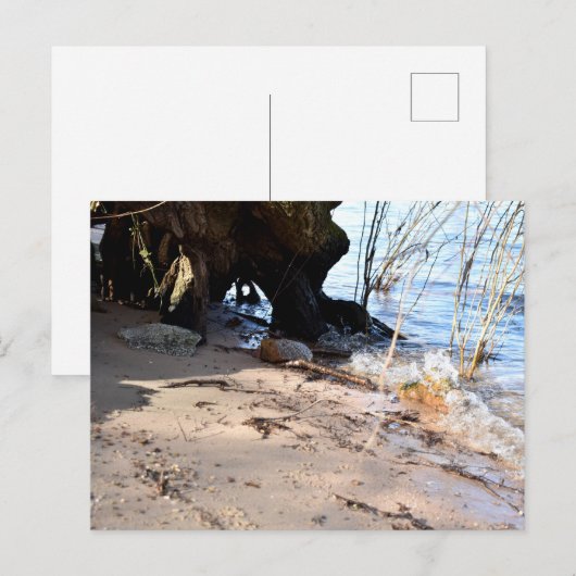 Breakers, Beachlife Briefkaart (Voorkant / Achterkant)