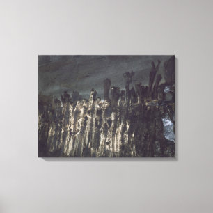 Breakwater in Jersey Canvas Afdruk