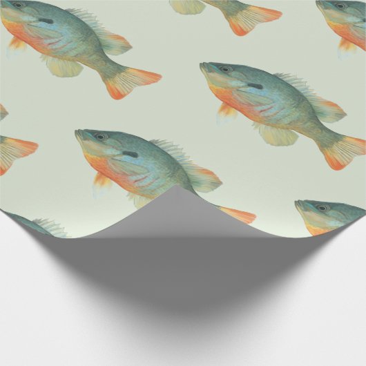 Bream Bluegill Sunfish Perch Fish Gift Cadeaupapier (Hoek)