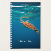 Breathe Turtle | Tortue de mer | Turtle Lover (Devant)