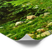 Breckenridge Colorado poster pittoresque été (Coin)