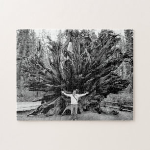 Brede hoek Sequoia boomstam - 11x14 - 252 stuks. Legpuzzel