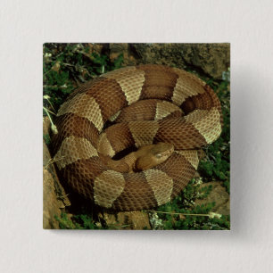 breed-verbonden copperhead-knop pinback vierkante button 5,1 cm