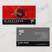 Breedbeeld 145 - Hover Fly on a Dahlia Visitekaartje (Voorkant / Achterkant)