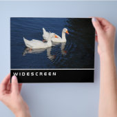 Breedbeeld - Echte ganzen Flyer (Hand)