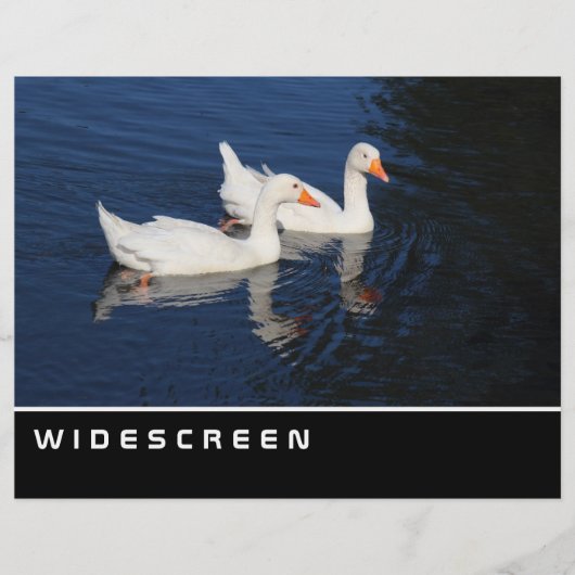 Breedbeeld - Emdener ganzen Flyer (Voorkant)