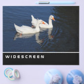 Breedbeeld - Emdener ganzen Flyer (Enkel)