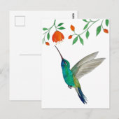 Breedbekkolibrie Briefkaart (Voorkant / Achterkant)