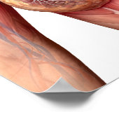 Breedkanker Poster (Hoek)