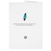 Breedkopvogel (Achterkant)