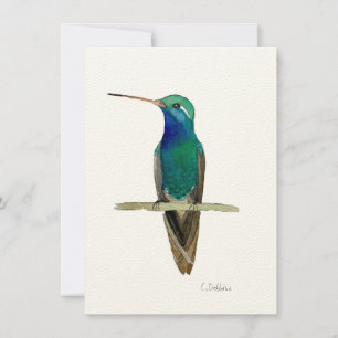 Breedkopvogel in een tak