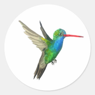 Breedkopvogel Ronde Sticker