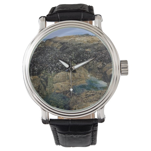 Breedpools bij Bob Creek, OF Horloge (Voorkant)