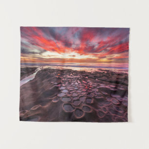 Breedpools in La Jolla, CA Wandkleed