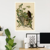 Breedvleugelige Hawk Poster (Thuiskantoor)