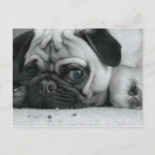 breena pic briefkaart