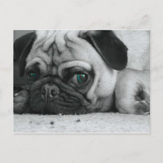 breena pic briefkaart