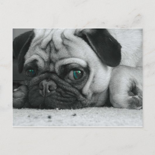 breena pic briefkaart (Voorkant)