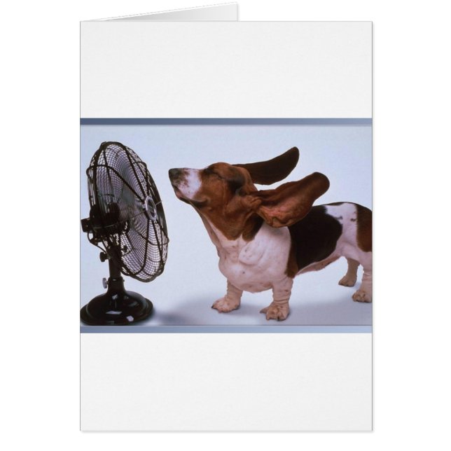 Breeze - Chien et ventilateur (Devant)