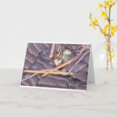 Breifoto Kaart (Gele Bloem)