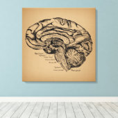 breindiagram Antiek medische anatomie Kunst Canvas Afdruk (Insitu (Houten vloer))