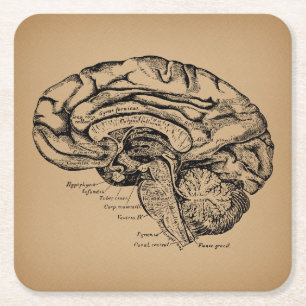 breindiagram Antiek medische anatomie Kunst Vierkante Kartonnen Onderzetter