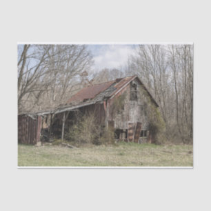 Breken omlaag Barn Amidst Bare Trees en Scrub Stru Tissuepapier